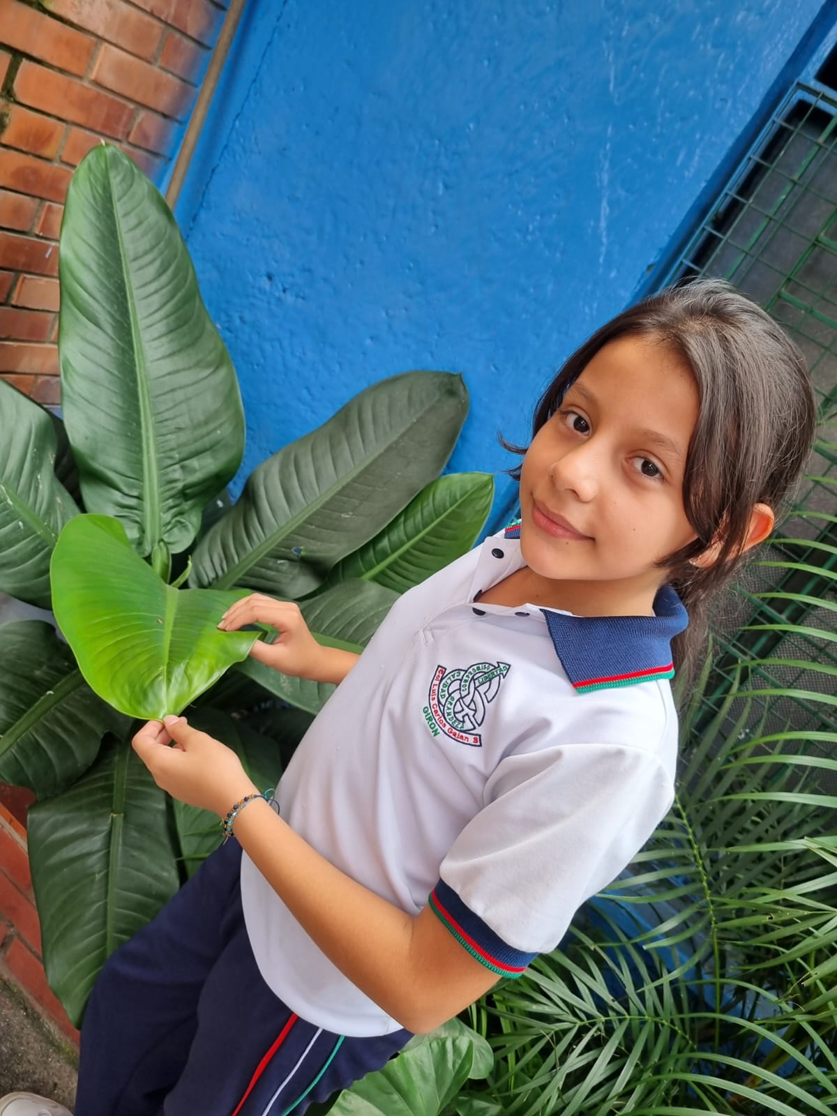 ARAMBURO RODRIGUEZ MICHELLE JOHANA